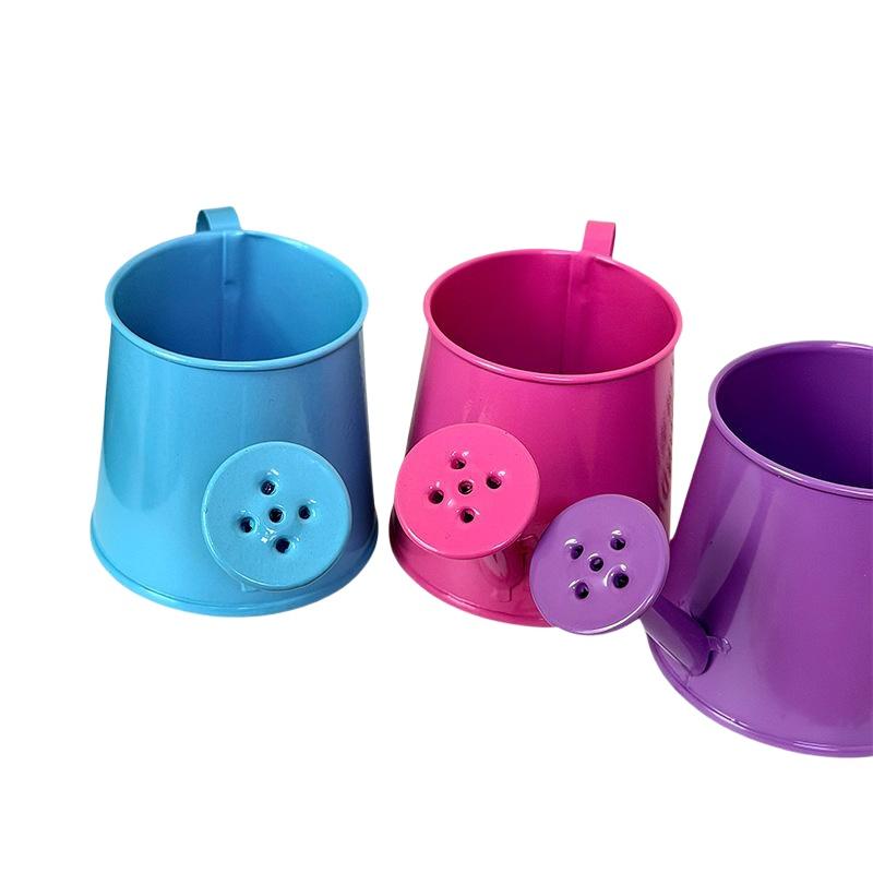 Mini annaffiatoio in metallo v - Gardening Tools Cute recensione e prezzo