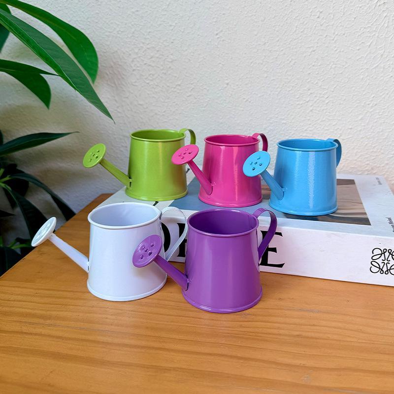 Mini annaffiatoio in metallo v - Gardening Tools Cute recensione e prezzo
