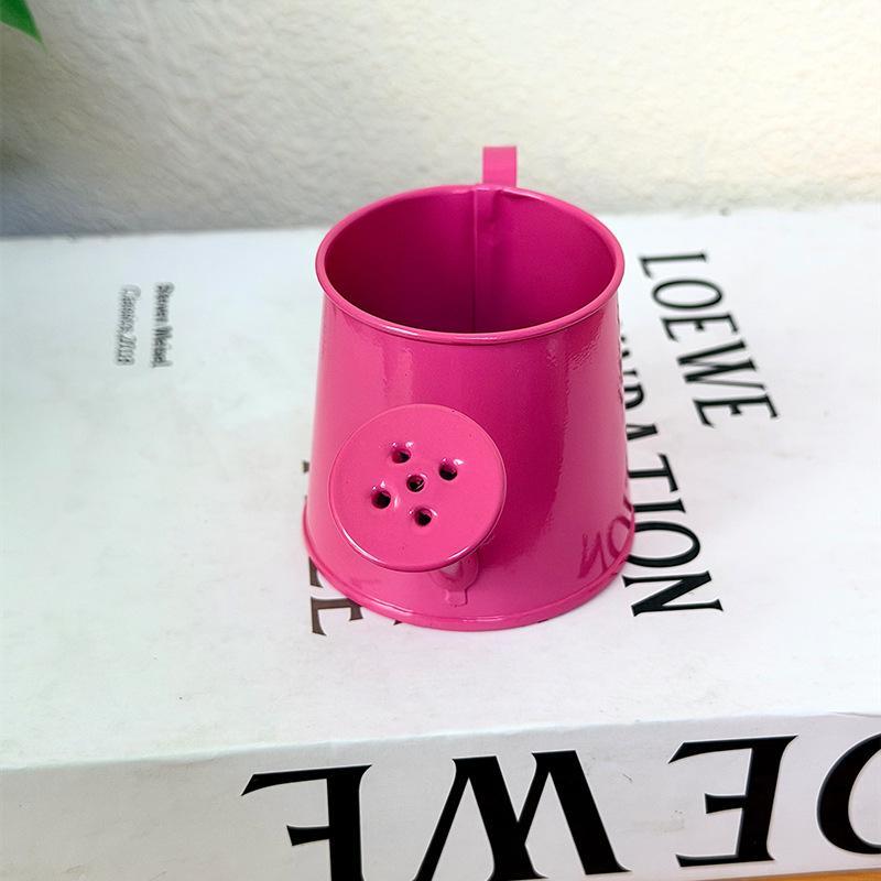 Mini annaffiatoio in metallo v - Gardening Tools Cute recensione e prezzo