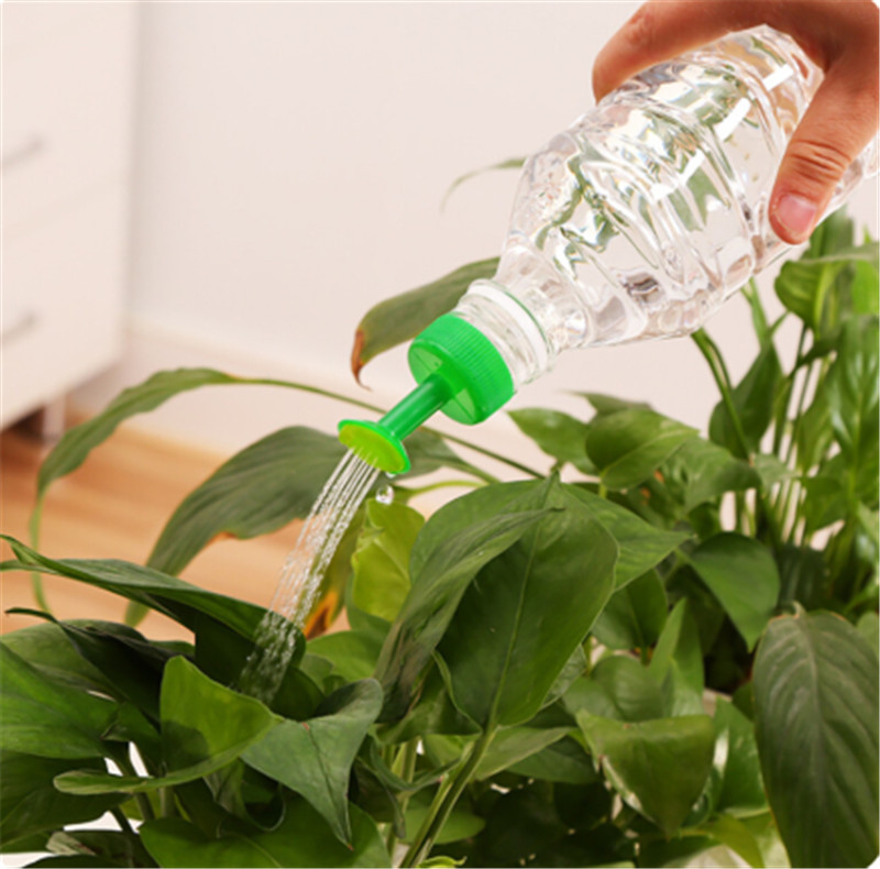 Lattine d'acqua per piante in  - Gardening Tools For Sale recensione e prezzo