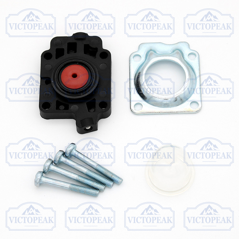 Kit di riparazione carburatore - Gardening Tools Repair recensione e prezzo