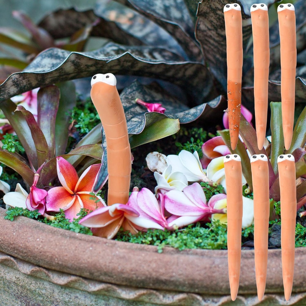Monitor di umidità per piante  - Gardening Tools Cute recensione e prezzo