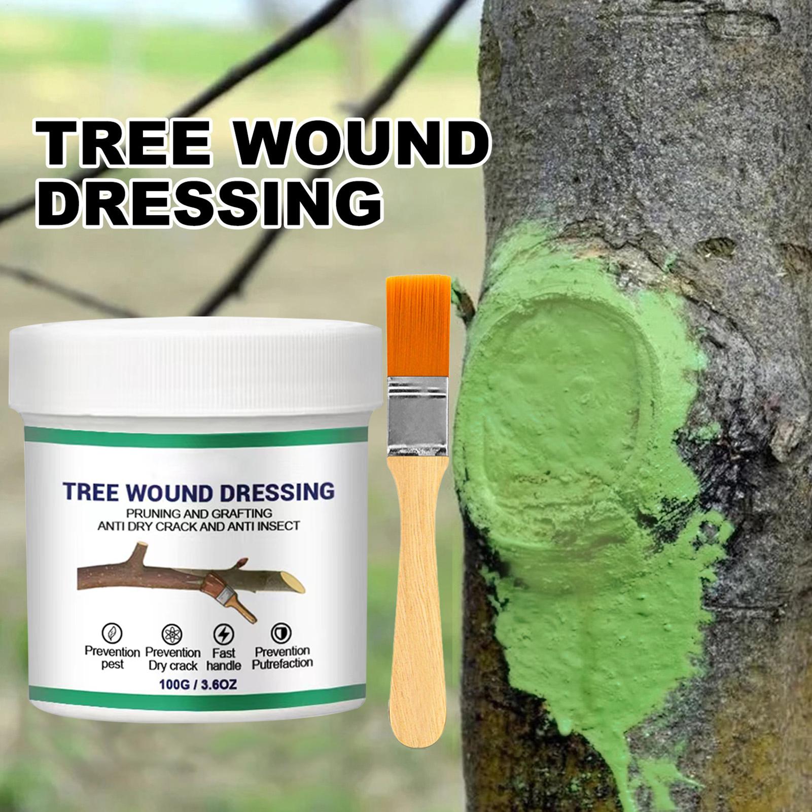 Pasta per Innesto Alberi, Past - Gardening Tools Repair recensione e prezzo